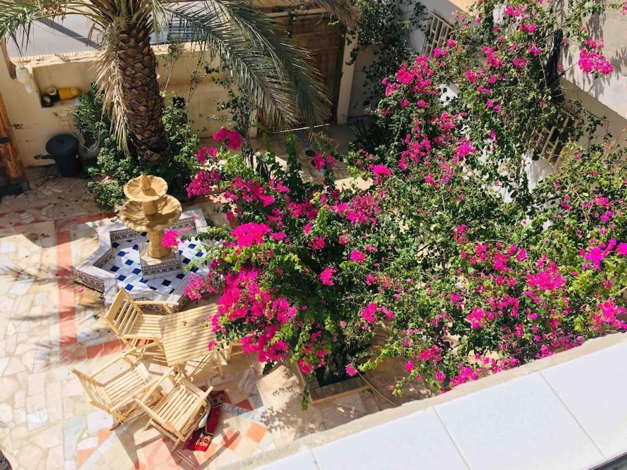 Suite Moonlight Zone Touristique טוזר מראה חיצוני תמונה