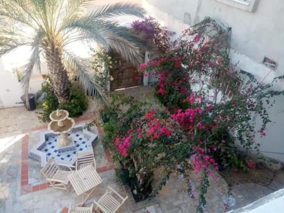 Suite Moonlight Zone Touristique טוזר מראה חיצוני תמונה